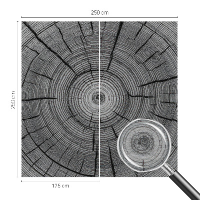 Flis fototapeta Gozdna harmonija