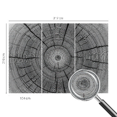 Flis fototapeta Gozdna harmonija