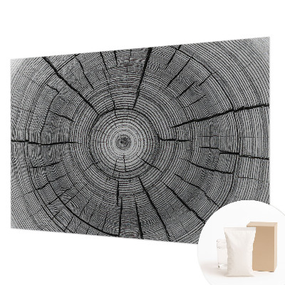 Flis fototapeta Gozdna harmonija