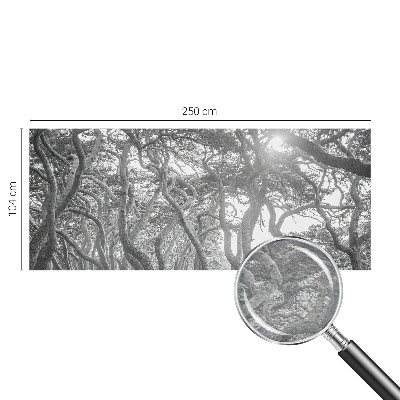 Foto tapeta Atmosferski gozd