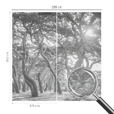 Foto tapeta Atmosferski gozd