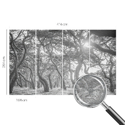 Foto tapeta Atmosferski gozd