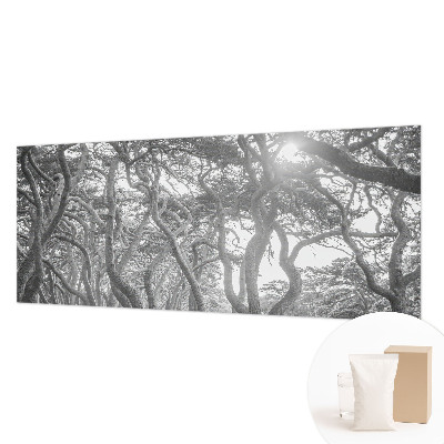 Foto tapeta z motivom atmosferskega gozda