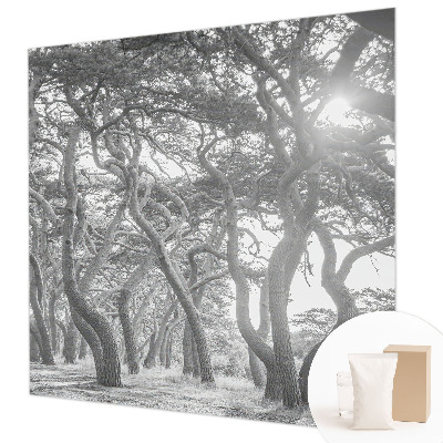 Foto tapeta z motivom atmosferskega gozda