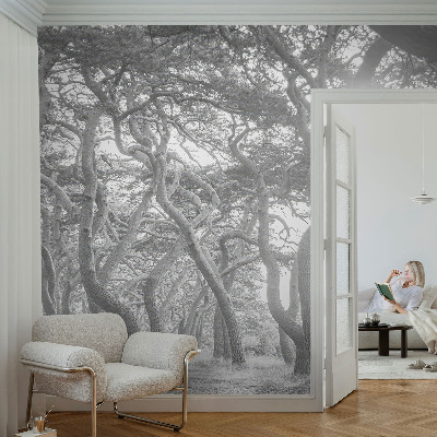 Foto tapeta z motivom atmosferskega gozda