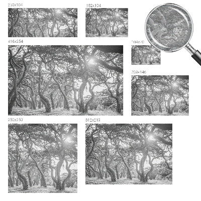 Foto tapeta z motivom atmosferskega gozda