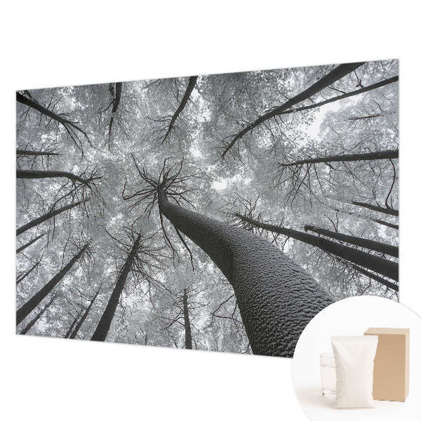 Tiskana fototapeta flis z zimsko pokrajino