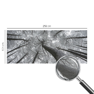 Tiskana fototapeta flis z zimsko pokrajino