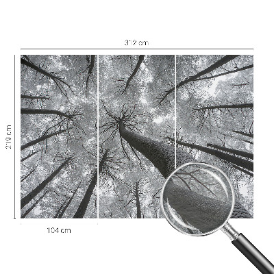 Tiskana fototapeta flis z zimsko pokrajino