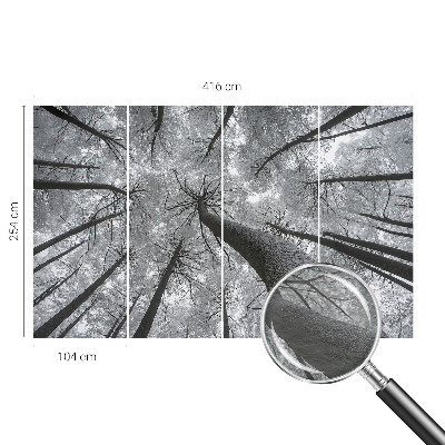 Tiskana fototapeta flis z zimsko pokrajino