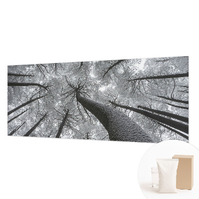 Tiskana fototapeta flis z zimsko pokrajino
