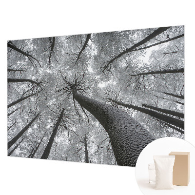 Tiskana fototapeta flis z zimsko pokrajino