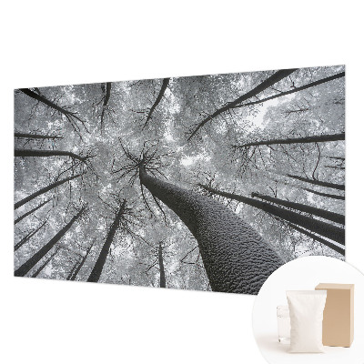 Tiskana fototapeta flis z zimsko pokrajino