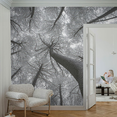 Tiskana fototapeta flis z zimsko pokrajino