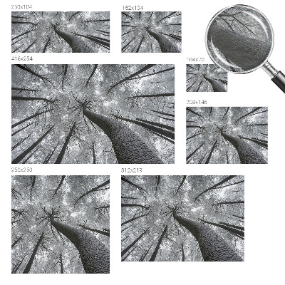Tiskana fototapeta flis z zimsko pokrajino