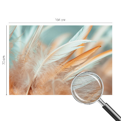 Fototapeta za spalnico z motivom nežnega perja