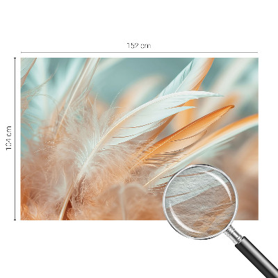 Fototapeta za spalnico z motivom nežnega perja