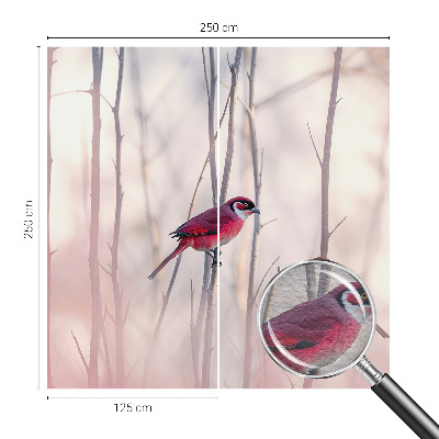 Netkana fototapeta Ptičji par