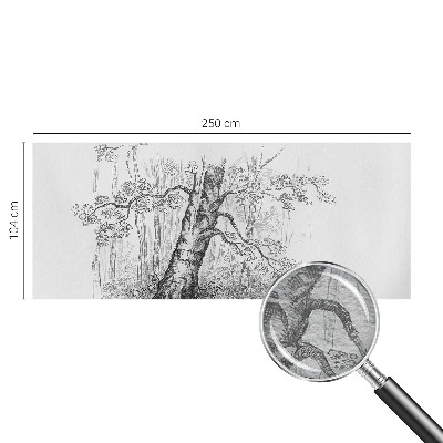Fototapeta za steno z motivom gozdnega drevesa
