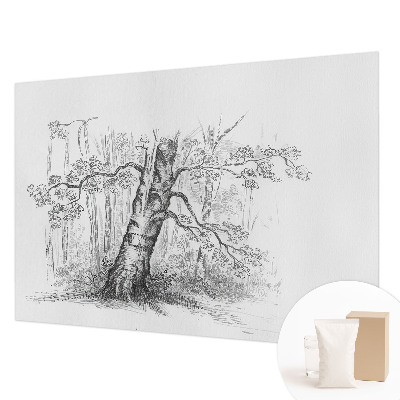 Fototapeta za steno z motivom gozdnega drevesa