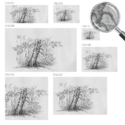 Fototapeta za steno z motivom gozdnega drevesa