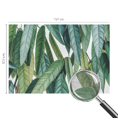 Fototapeta po meri Naravni listi