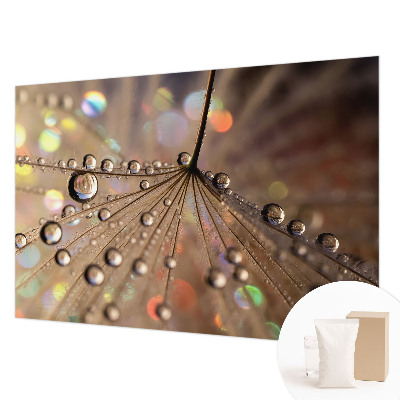 Fototapeta za steno Biserne kapljice