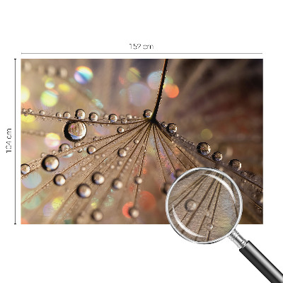 Fototapeta za steno z motivom bisernih kapljic