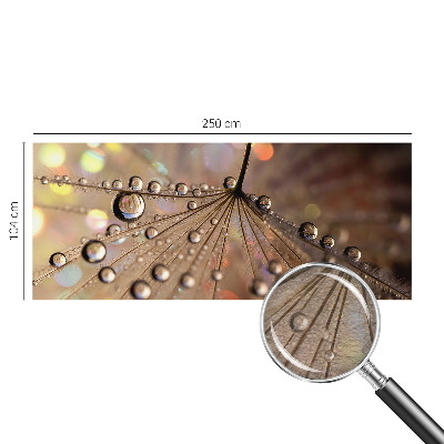 Fototapeta za steno Biserne kapljice