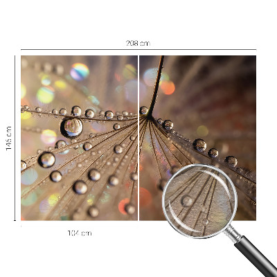 Fototapeta za steno Biserne kapljice