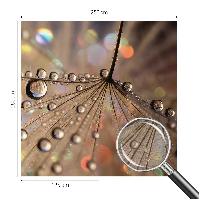 Fototapeta za steno Biserne kapljice