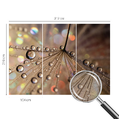 Fototapeta za steno Biserne kapljice