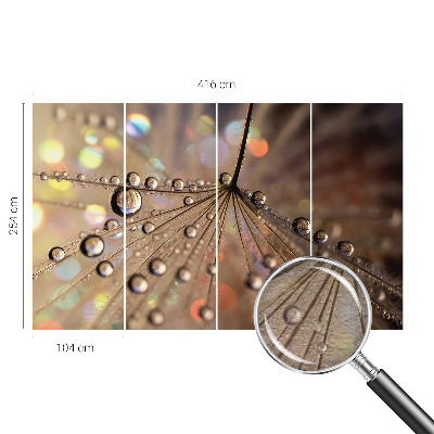 Fototapeta za steno Biserne kapljice