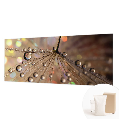 Fototapeta za steno Biserne kapljice