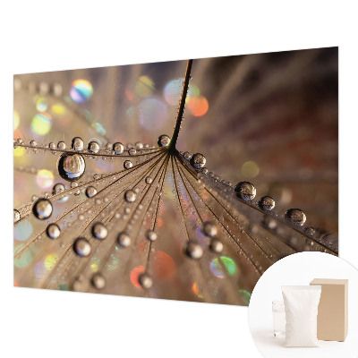 Fototapeta za steno Biserne kapljice