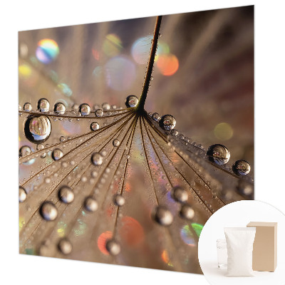 Fototapeta za steno Biserne kapljice