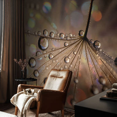 Fototapeta za steno Biserne kapljice