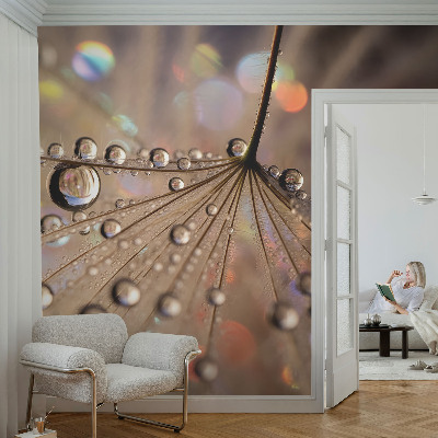 Fototapeta za steno z motivom bisernih kapljic