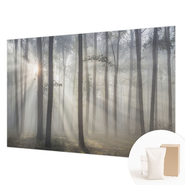 Visokokakovostna fototapeta z motivom eteričnega gozda