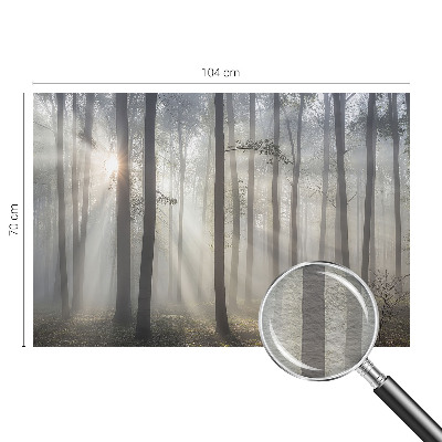 Visokokakovostna fototapeta Eterični gozd