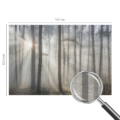 Visokokakovostna fototapeta z motivom eteričnega gozda