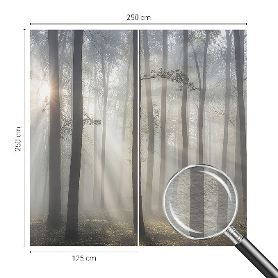 Visokokakovostna fototapeta Eterični gozd