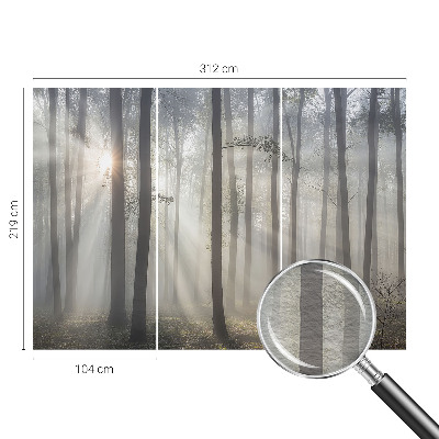 Visokokakovostna fototapeta Eterični gozd