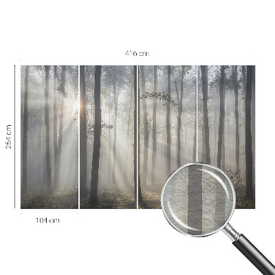 Visokokakovostna fototapeta Eterični gozd