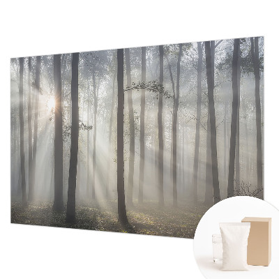 Visokokakovostna fototapeta z motivom eteričnega gozda