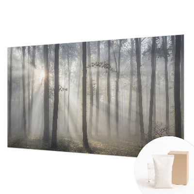 Visokokakovostna fototapeta Eterični gozd