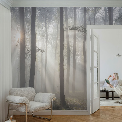 Visokokakovostna fototapeta Eterični gozd