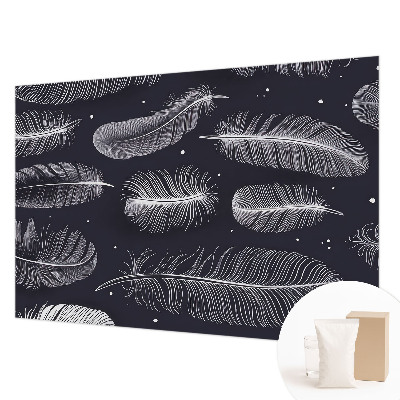 Dekorativna fototapeta Nežno perje