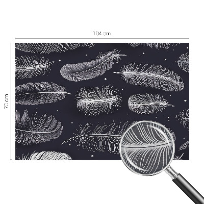 Dekorativna fototapeta Nežno perje