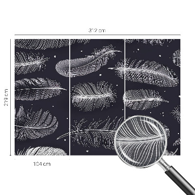 Dekorativna fototapeta Nežno perje